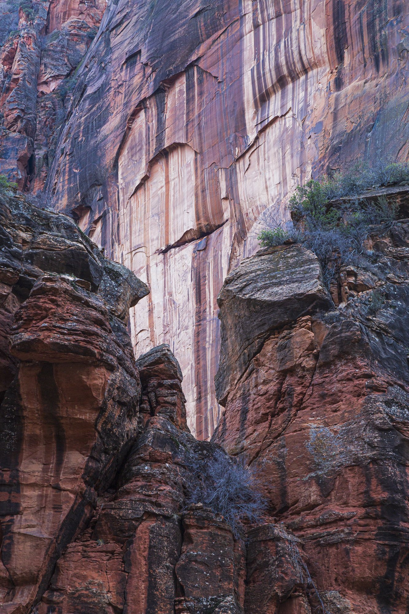 Zion Canyon sheer wall with streaks of light and water staining